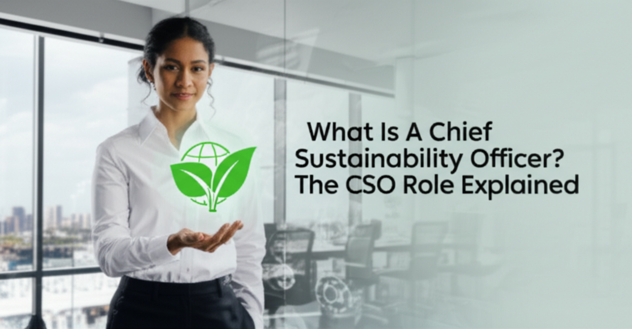 What Is A Chief Sustainability Officer? The CSO Role Explained